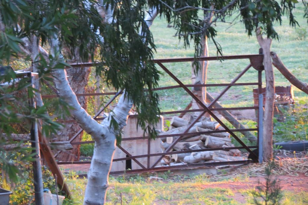 Bentwood Olive Grove Accommodation Greenough Стая снимка